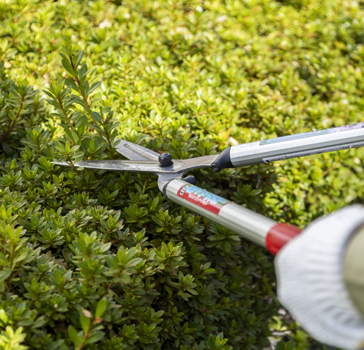 グリーンメンテナンス