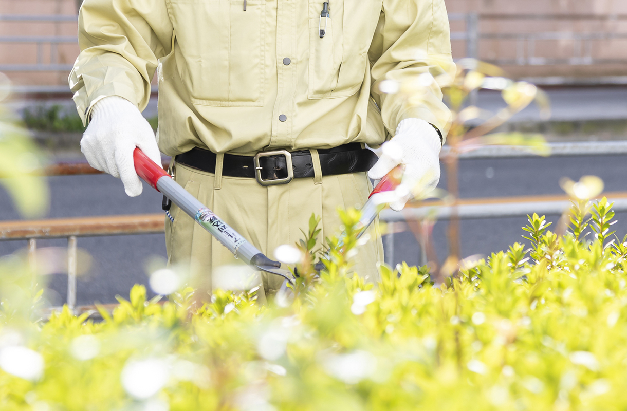 グリーンメンテナンス